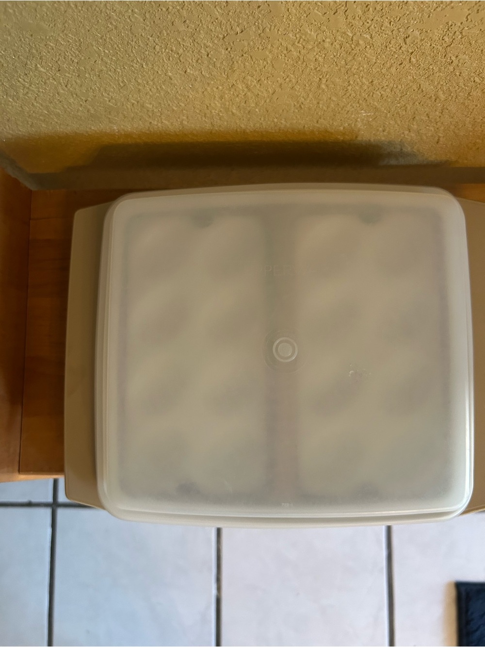 Vintage Tupperware deviled egg storage container